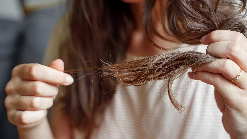 Cheveux Cassant & fourchus