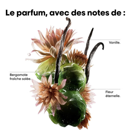 Masque Absolut Repair Molecular